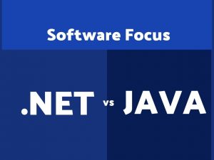 what to choose for software project - .net or java