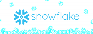 Snowflake Raises Over $3 Billion in IPO - a Record Since 2007